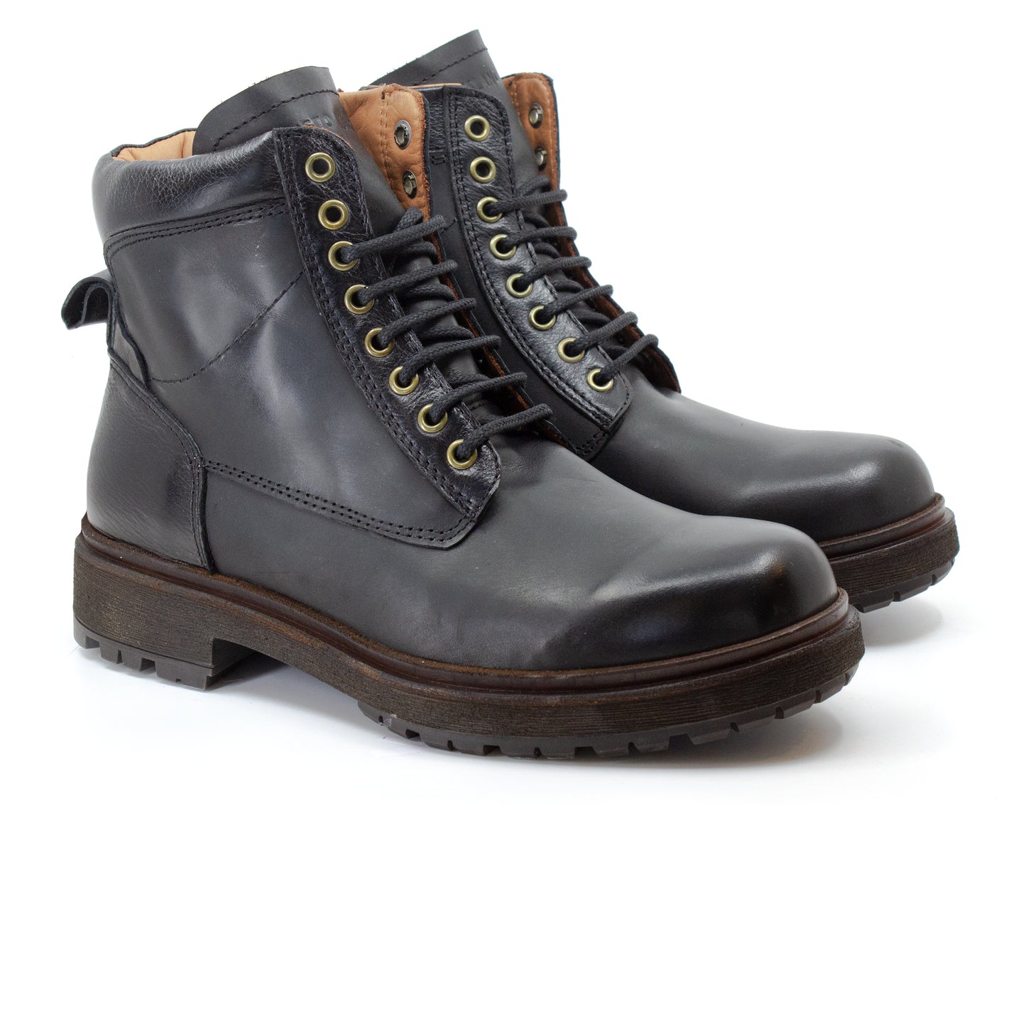 Borcego Corcega Negro