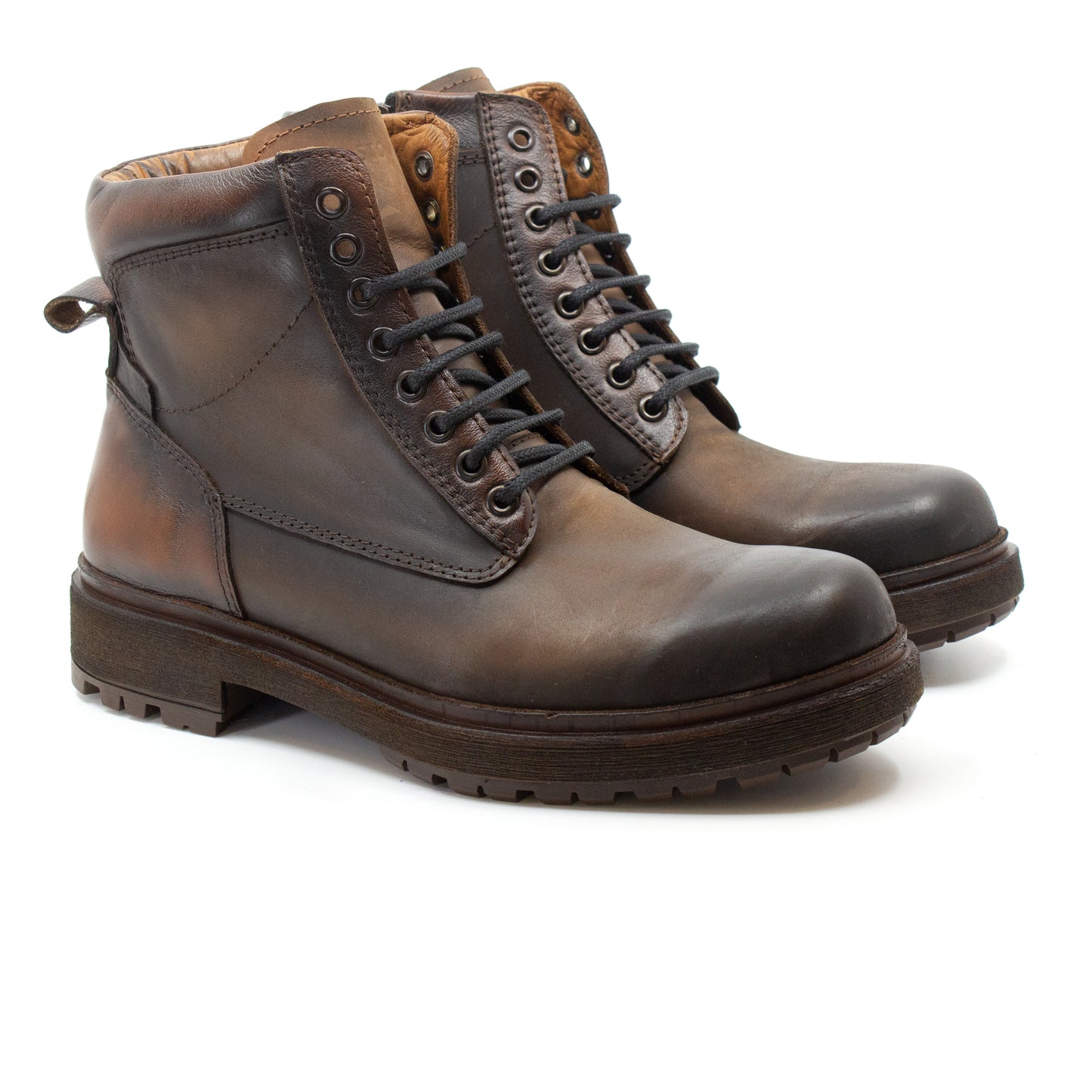 Borcego Corcega Choco