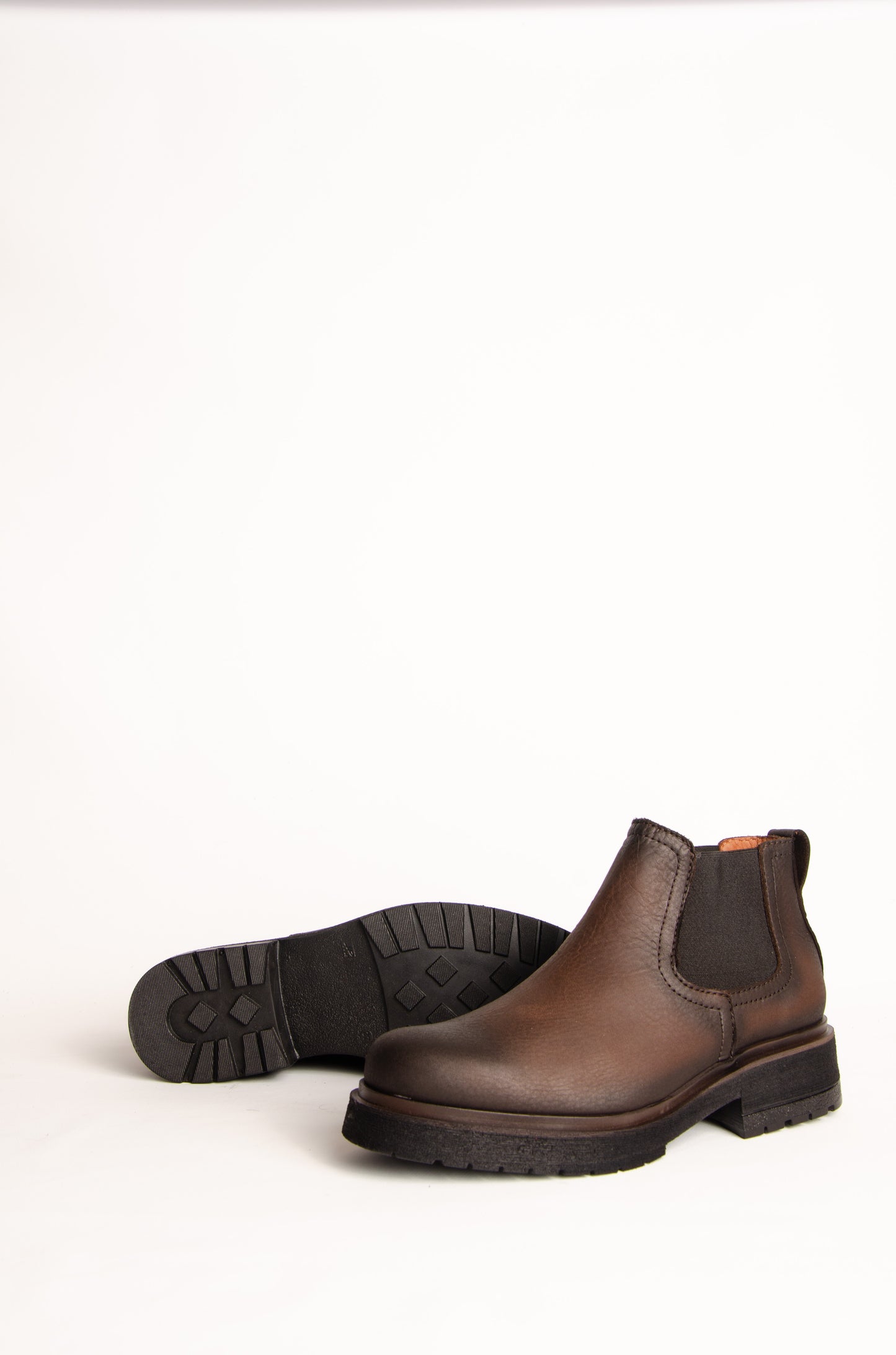 Borcego Erminia Choco