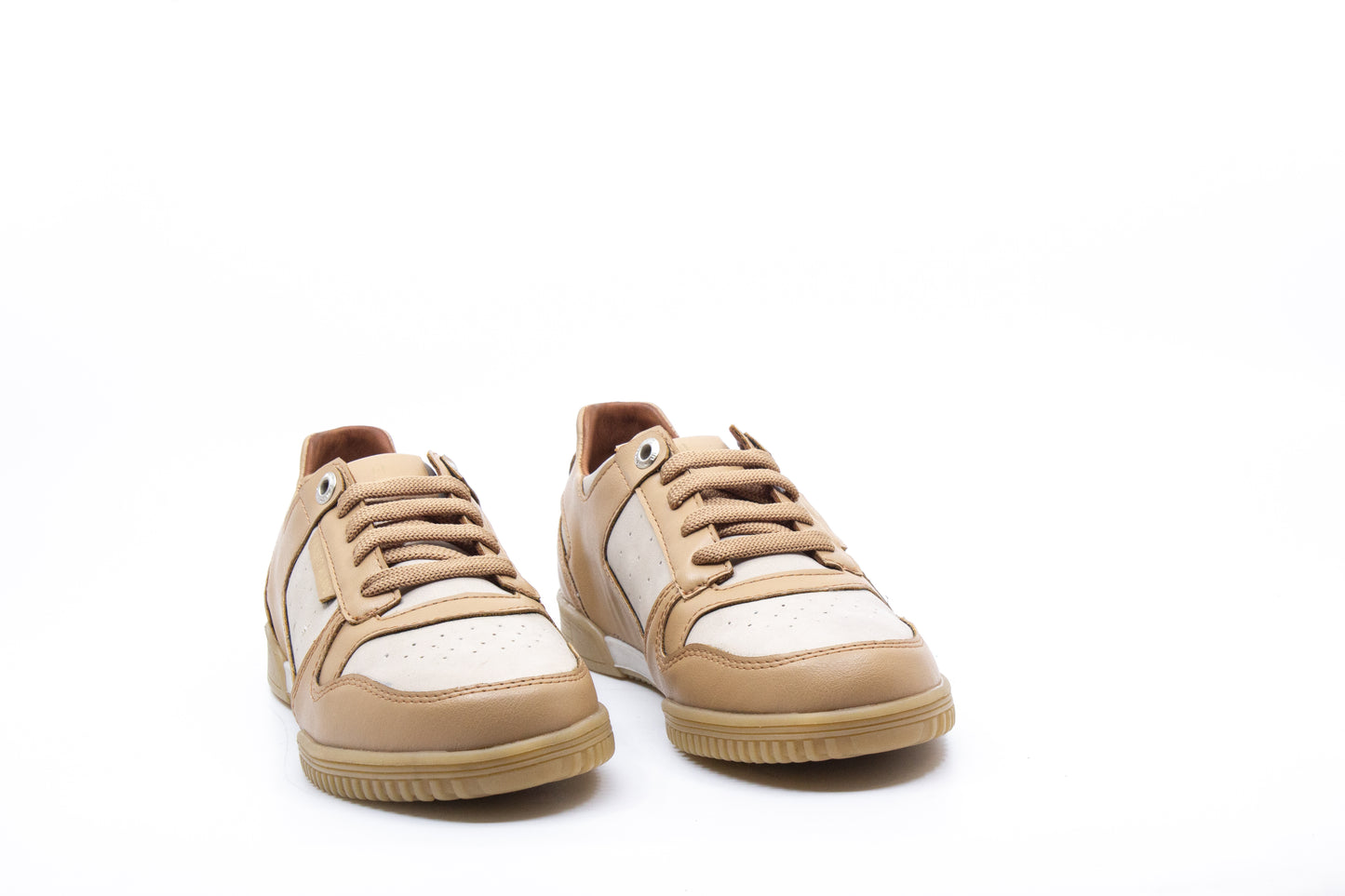 Paloma Beige
