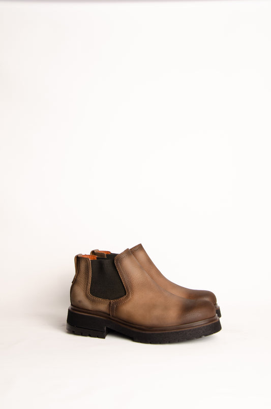 Borcego Erminia Vison