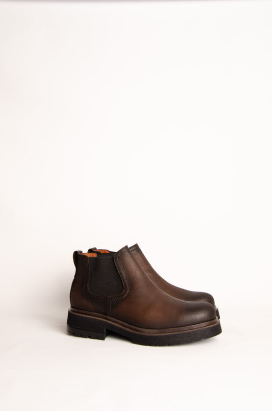 Borcego Erminia Choco